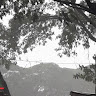 Bintang Insani
