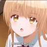 RTYCAT member profile picture