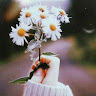 Created by