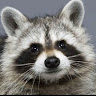 userThumbnail