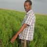 Created by