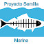 Proyecto Semilla Marino