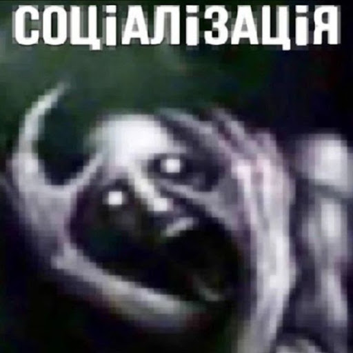 Сосунеч Егор В