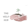 Writer: The Wild Hub CIC