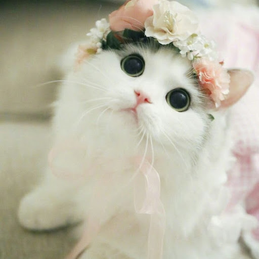 Диана