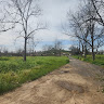 Reut Benhamo's photo