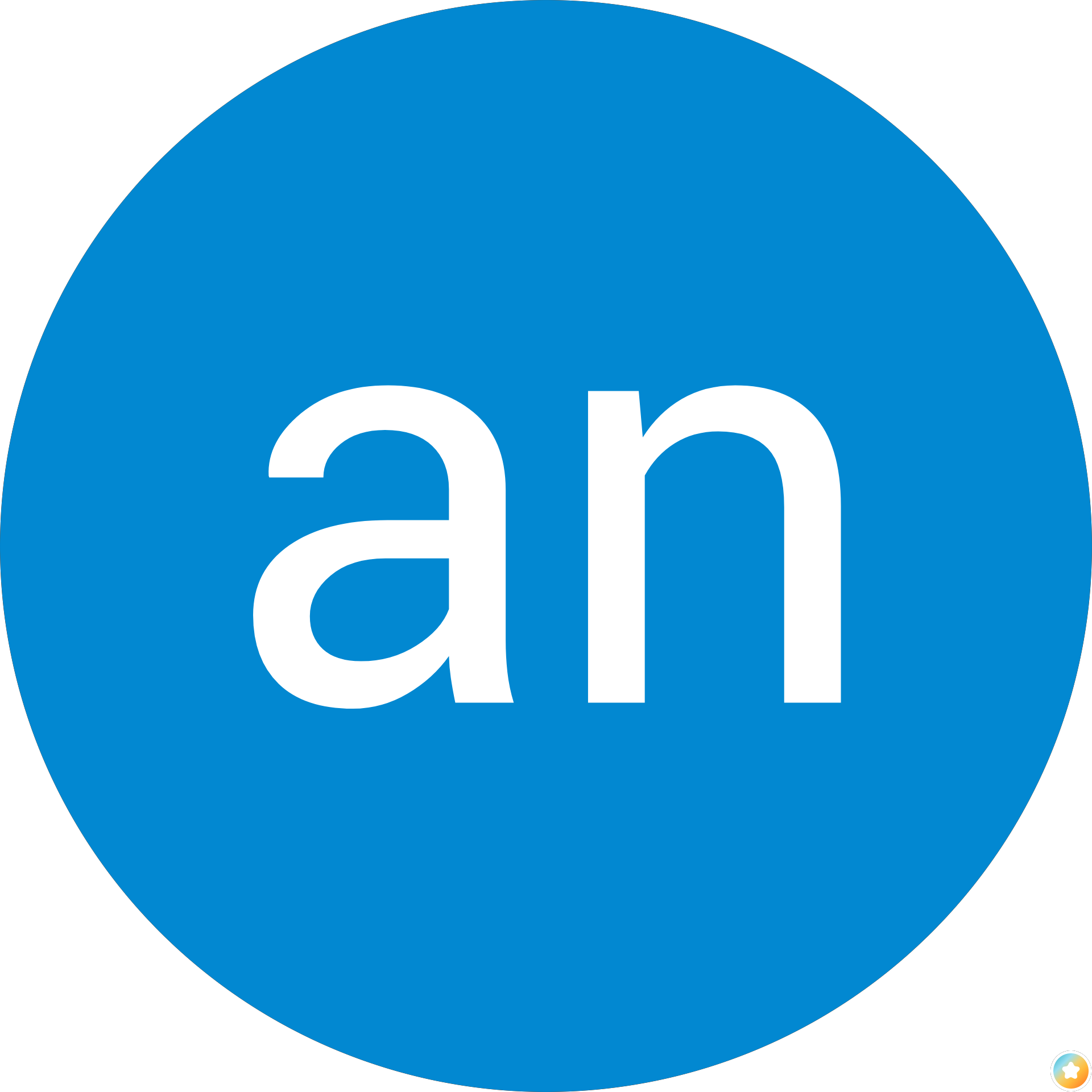 an nguyen