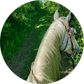 Welt Der Steine - Bad Wildungen