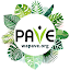 Pave Wa (Owner)