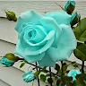 user-img