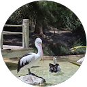 user_profile