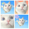 Created by