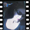 My Name Is Dee