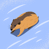 Skybobona Cavala