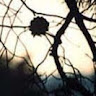 Gilad Hemed's photo