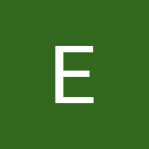 E**l N**e