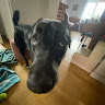 isabellnowa member profile picture