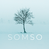 SOMSO 333