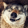 user_8yyuakhmpth1jom1 member profile picture
