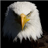 unrealtem387's Avatar