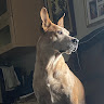 Douglas M.'s profile image