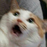 userThumbnail