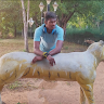 Robert. M's profile photo