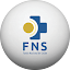 FNS (Owner)