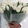 Created by