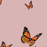 Derin Belen