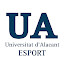 Universitat d'Alacant Esport (Owner)