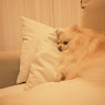 Maddy