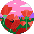 Avatar de Nora.h