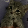 user_auqgdml1uld4qtlu member profile picture