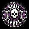 Soullevel