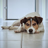 Erán Ariel's photo
