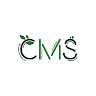 Writer: Proyecto CMS