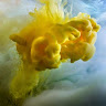 simsta member profile picture