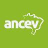 ANCEV avatar