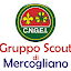 ScoutMercogliano