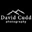 David Cudd (Owner)