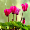 Created by