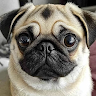 user_djclwhtated3vdqu member profile picture