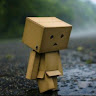 user_wbpt21ysu5dvtqji member profile picture