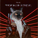 Catmeownator
