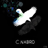 Пользователь: lkpk0909