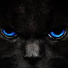 user_l90lrvr13fkw1jq4 member profile picture