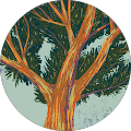 Avatar de Morgane.e