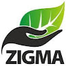 Zigma Options