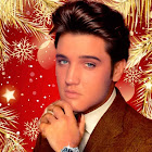 Utilizator: Giuseppe D'Amico